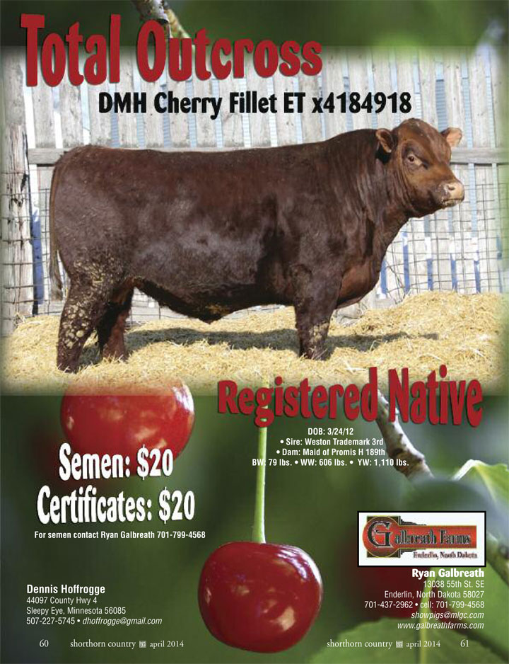 DMH Cherry Fillet semen advertisement