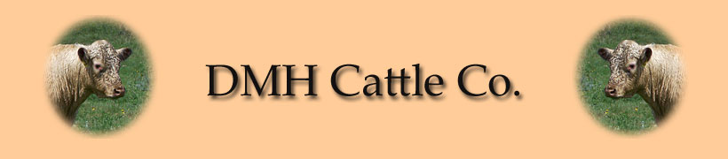 DMH Cattle Co. Heading